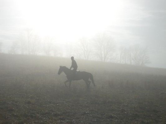 Rider in Mist